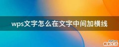 wps文字怎么在文字中间加横线