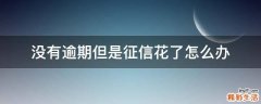 没有逾期但是征信花了怎么办