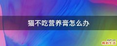 猫不吃营养膏怎么办