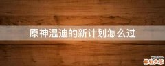 原神温迪的新计划怎么过