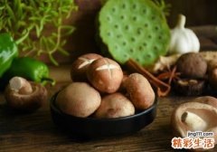 香菇放干了还能吃吗 吃鲜香菇好是干香菇好