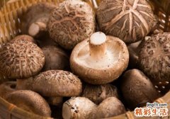 香菇洗干净可以放多久 香菇洗了放在哪里保存好