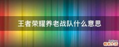 王者荣耀养老战队什么意思