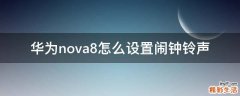 华为nova8怎么设置闹钟铃声