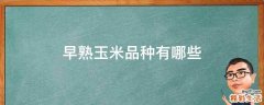 早熟玉米品种有哪些