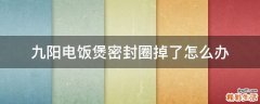 九阳电饭煲密封圈掉了怎么办