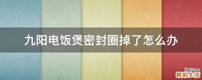九阳电饭煲密封圈掉了怎么办