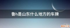 鲁h是山东什么地方的车牌
