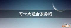 可卡犬适合家养吗