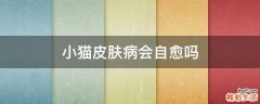 小猫皮肤病会自愈吗