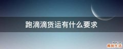跑滴滴货运有什么要求