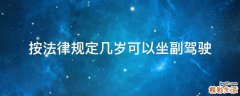 按法律规定几岁可以坐副驾驶