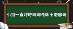小狗一直哼哼唧唧是哪不舒服吗