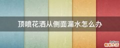 顶喷花洒从侧面漏水怎么办