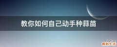 教你如何自己动手种蒜苗