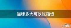 猫咪多大可以吃猫饭