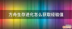 方舟生存进化怎么获取经验值