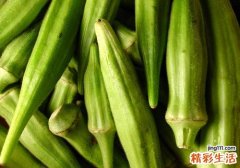 秋葵豆浆可以一起吃吗 秋葵豆浆同吃有什么好处