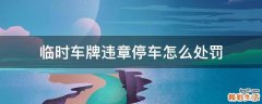 临时车牌违章停车怎么处罚