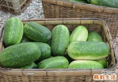 冬瓜软了还能吃吗 把冬瓜烂的切可以吃吗