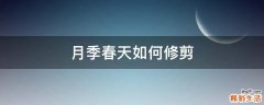 月季春天如何修剪