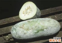 冬瓜怎么吃减肥最快 推荐4款冬瓜食谱