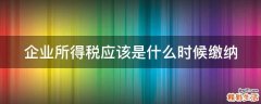 企业所得税应该是什么时候缴纳