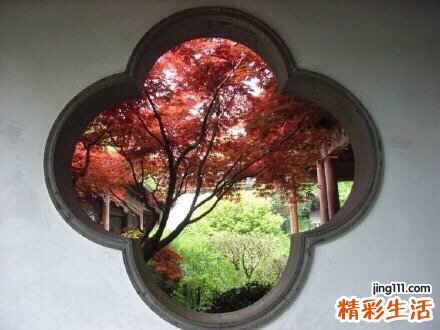 老人尿频是什么病症