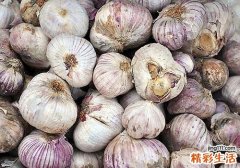 吃大蒜长痘吗 长青春痘能吃大蒜吗
