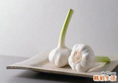 大蒜里面是绿色能吃吗 大蒜要怎么保存才不会发芽