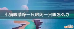 小猫眼睛睁一只眼闭一只眼怎么办