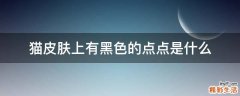 猫皮肤上有黑色的点点是什么