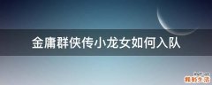 金庸群侠传小龙女如何入队