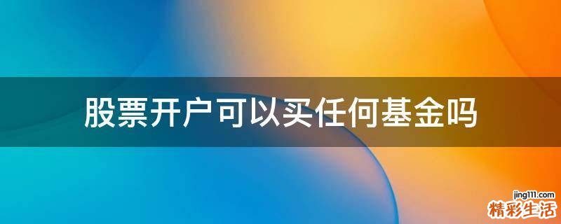 股票开户可以买任何基金吗