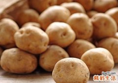 土豆有点发青还能吃吗 吃发芽的土豆有什么危害