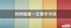 狗狗隐睾一定要手术吗