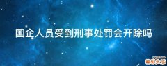 国企人员受到刑事处罚会开除吗