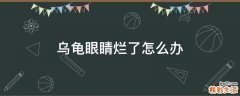 乌龟眼睛烂了怎么办