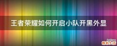 王者荣耀如何开启小队开黑外显