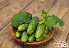 黄瓜榨汁要去皮吗 黄瓜榨汁需要加水吗