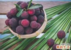 杨梅和黄瓜可以一起吃吗 杨梅千万别和这几种食物一起吃