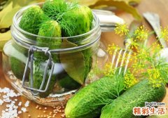 孕妇可以吃黄瓜皮吗 孕妇吃黄瓜皮有什么好处