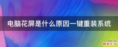 电脑花屏是什么原因一键重装系统
