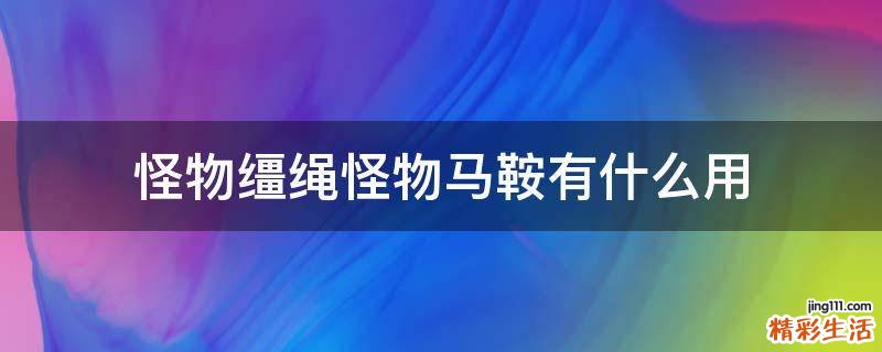 怪物缰绳怪物马鞍有什么用