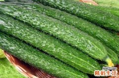 黄瓜的功效与作用 黄瓜和什么炒好吃