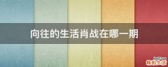 向往的生活肖战在哪一期