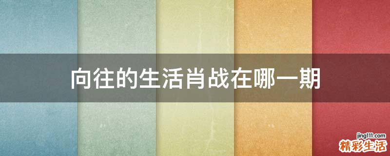 向往的生活肖战在哪一期