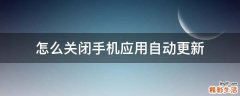 怎么关闭手机应用自动更新