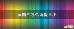 pr图片怎么调整大小
