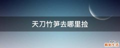 天刀竹笋去哪里捡
